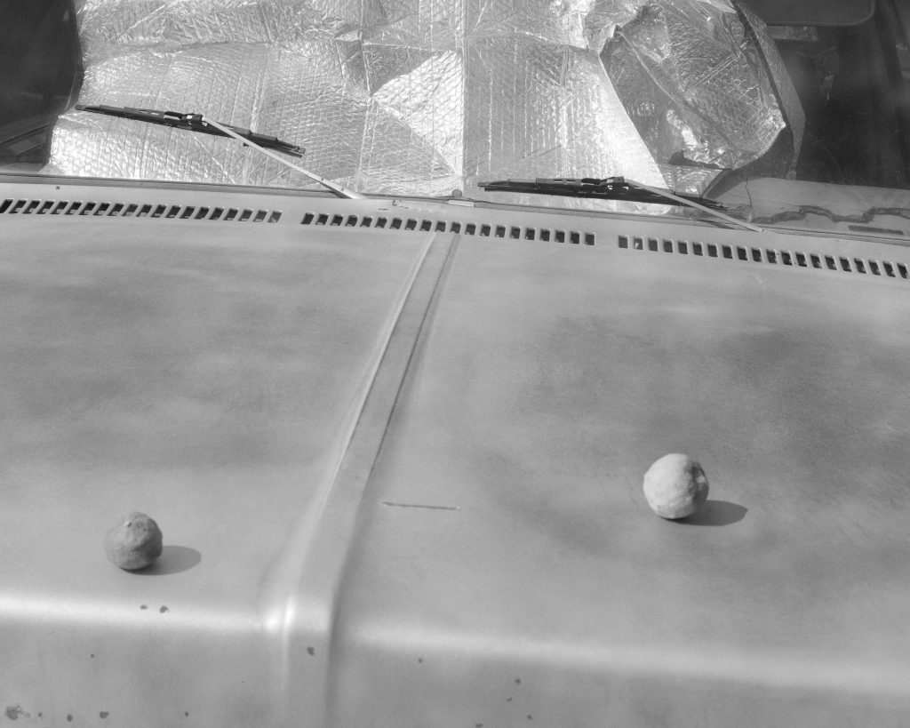 マシュー・ジェニテンポインタビュー | ensemble - 神田錦町、神保町